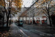 49图库-按需筛选-指标解释